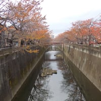 石神井川　中根橋より根付橋側