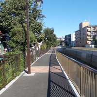 善福寺川　堀之内橋際