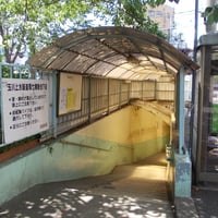 玉川上水緑道　環七横断地下道