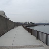 中川縁　葛飾区東新小岩8-9
