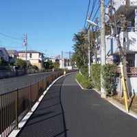 神田川沿い　一本橋際