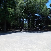 碑文谷公園
