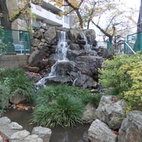 氷川つり堀公園