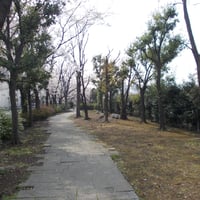 蓮根川緑道