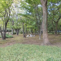 北の丸公園