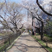 外濠公園