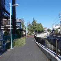 神田川沿い　和泉橋際