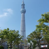 業平公園より東京スカイツリー