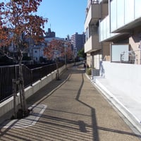 内川沿い　大田区大森東1-19