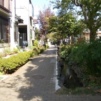 上小岩親水緑道　江戸川区北小岩6-49