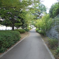 清新町北緑地