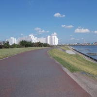 旧江戸川沿い　健康の道　江戸川区南葛西6-1