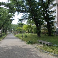 南烏山1-1遊び場