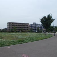 東立石緑地公園