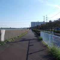 武蔵野の路葛西コース　　江戸川区南葛西7-3