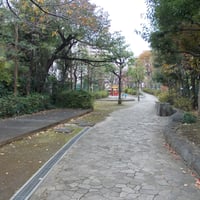 石神井川緑道