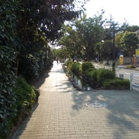 葛西親水四季の道　江戸川区中葛西3-20