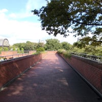総合レクリエーション公園フラワーガーデン