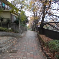 武蔵野の路石神井川コース  板橋区板橋4-45