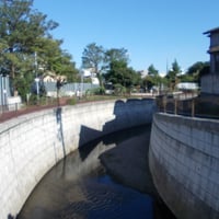 神田川　弁天橋より方南第一橋側