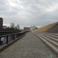 新河岸川縁　中の橋際