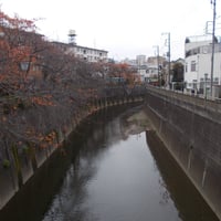 石神井川　西宿裏橋より堰の上橋側