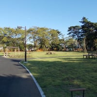 和田堀公園 済美山運動広場