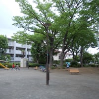 世田谷新町公園