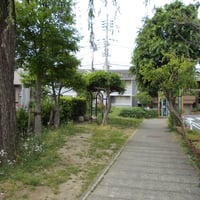 給田ぞうのはな広場