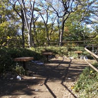 加賀公園加賀前田家下屋敷築山跡