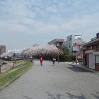 小豆沢公園小豆沢河岸広場