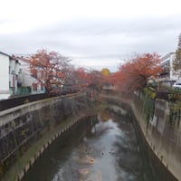 石神井川　観音橋より（名称なし）側