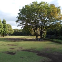 北の丸公園