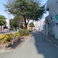 葛西親水四季の道　江戸川区中葛西3-30