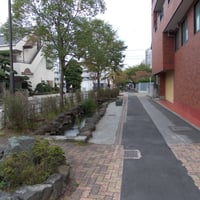 鹿骨親水緑道　江戸川区鹿骨2-13