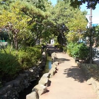 葛西親水四季の道　江戸川区西葛西7-16