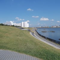 旧江戸川縁　江戸川区堀江町