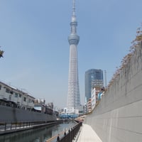 十間橋下より東京スカイツリー