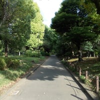 北の丸公園