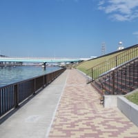 中川縁　 江戸川区船堀一丁目付近