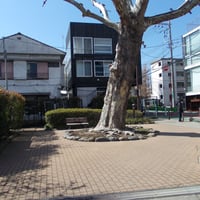 下馬すずかけ公園