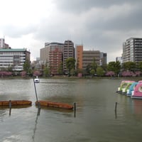 不忍池　　ボート池