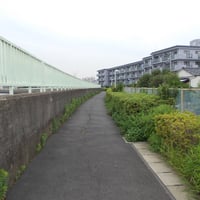 中川沿い　葛飾区東立石4-2