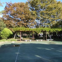 都堀公園