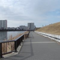 隅田川テラス　足立区新田3-34