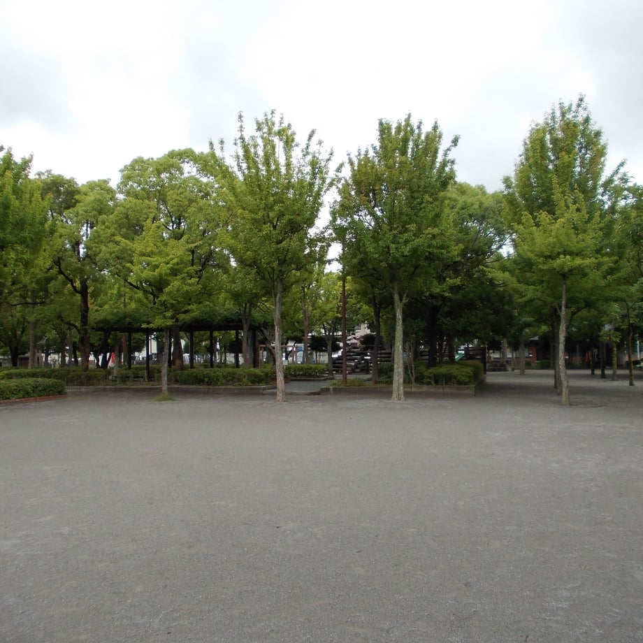 54eec00a3cd482d049000028