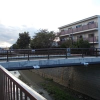 善福寺川　堀之内橋