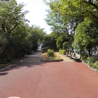 葛西親水四季の道　江戸川区中葛西4-1・2