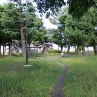 新中川通水記念公園