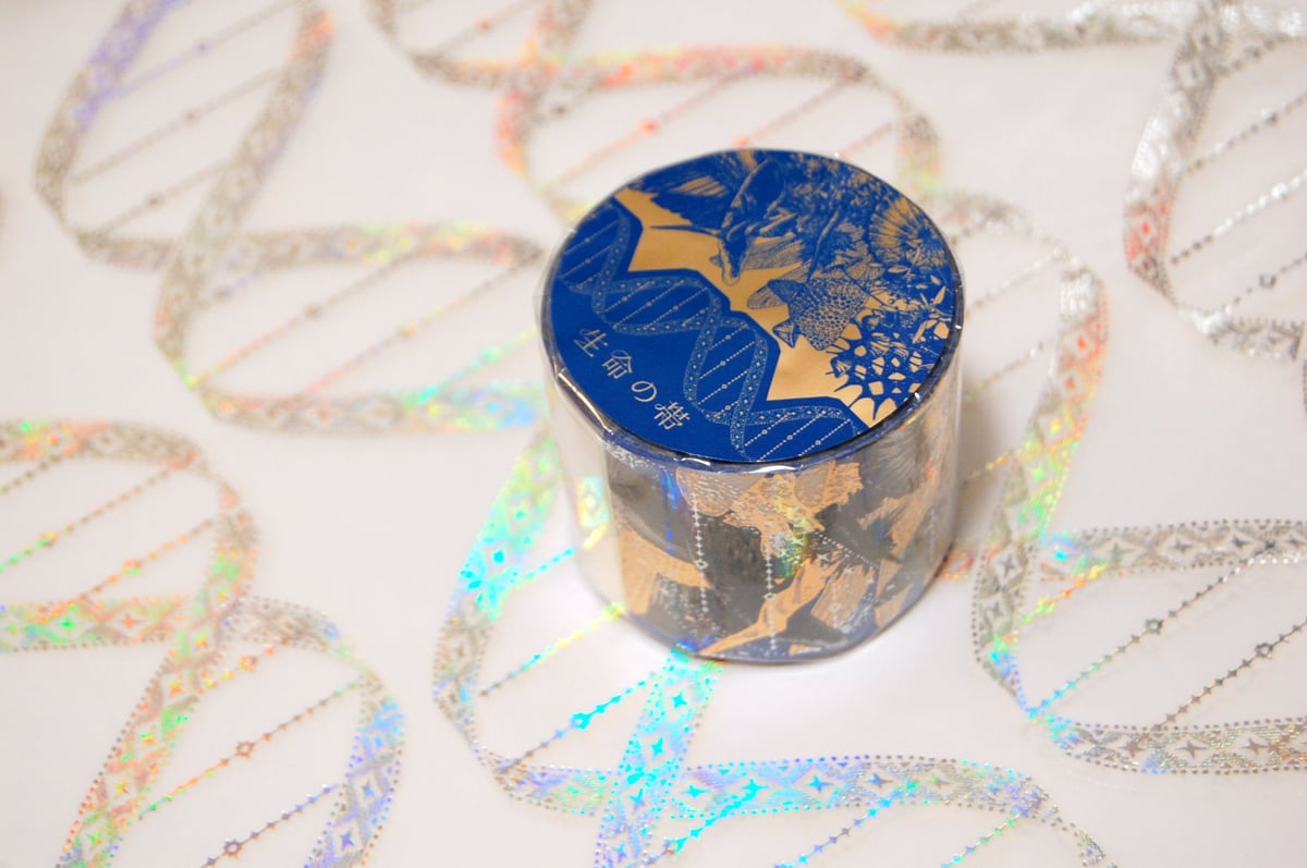 完全数量限定発売 『 箔押し三昧 』 | コスモテックサンプル直売所